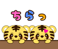 575747370
