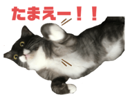 575748796