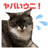 575748800