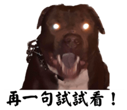 575767335