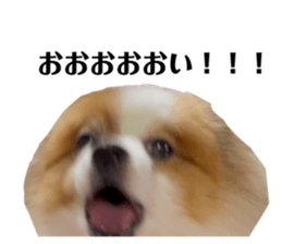 575804964