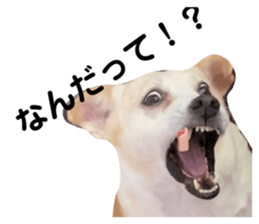 575816212