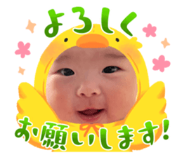 575816253