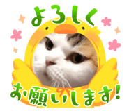 575824776