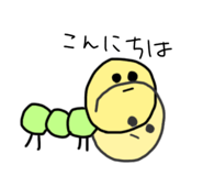 575825080