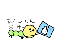 575825081