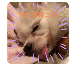 575902459