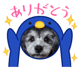 575905258