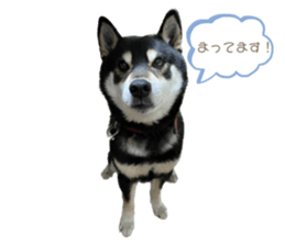 575910495