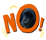 575922177