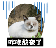 575959067
