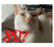 575959077