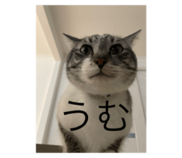 575960050