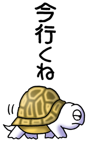 575960494