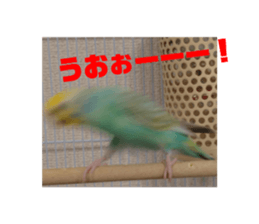 575966198