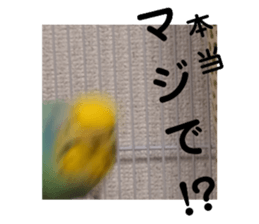 575966204