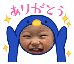 575968803
