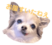 575969000