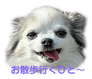 575969005