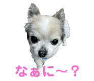 575969008