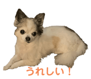 575969009