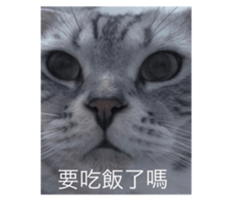 575977194