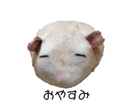 575982263