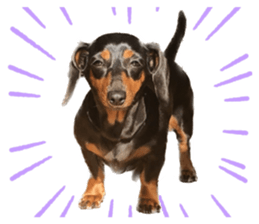 576027060