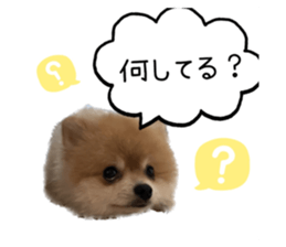 576073861