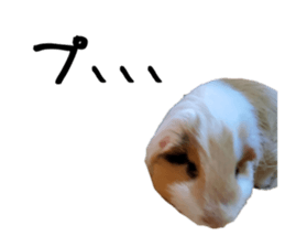 576119192