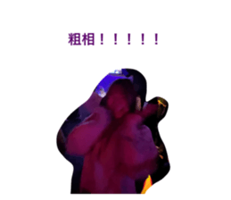 576180033