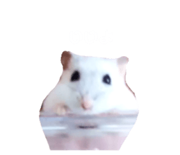 576189574