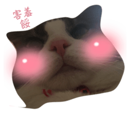 576209366
