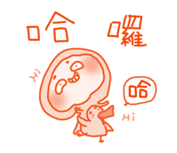 576233894