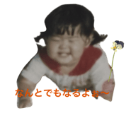 576237799