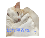 576237802