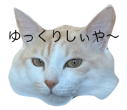 576237804