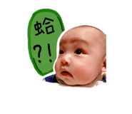 576239816