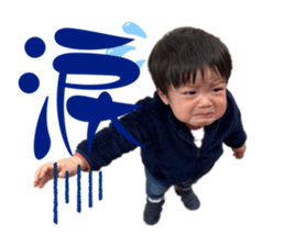 576243815