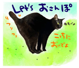 576253467