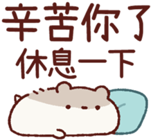 576263888