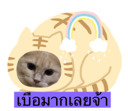 576286273