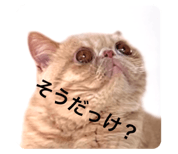 576305166