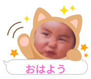 576308334