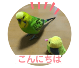 576328699
