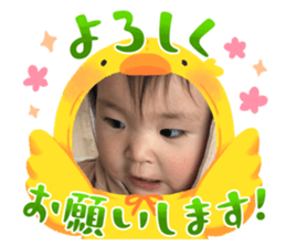 576448203