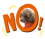 576448379