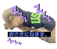 576448386