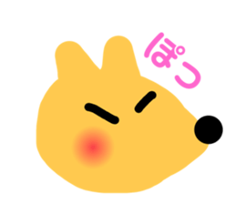 576448851