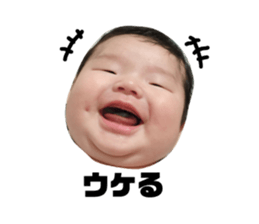 57646817